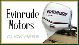 Evinrude Decals